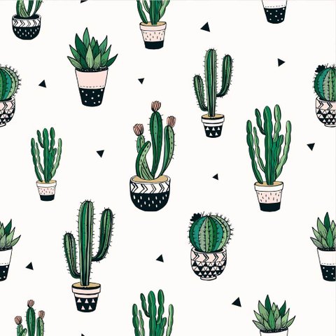 Papel de Parede Decorativo Temático Cactos Decorativos 2,5m
