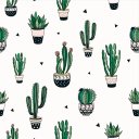 Ver imagem 1 de Papel de Parede Decorativo Temático Cactos Decorativos 2,5m