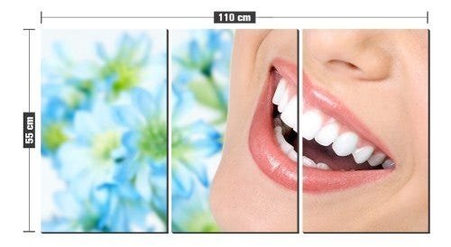 Quadro Decorativo Sorriso Flores De Fundo Clinica Odonto - 2