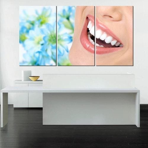 Quadro Decorativo Sorriso Flores De Fundo Clinica Odonto - 1