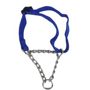 Coleira Cachorro Cao Semi Enforcadora Ajustavel Corrente Aço Zincado Kit Passeio Treinamento Rua Ar 