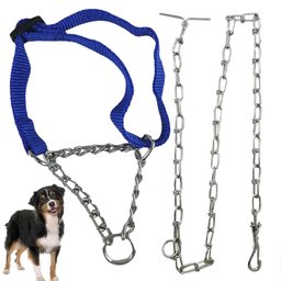 Coleira Cachorro Cao Semi Enforcadora Ajustavel Corrente Aço Zincado Kit Passeio Treinamento Rua Ar  - 6