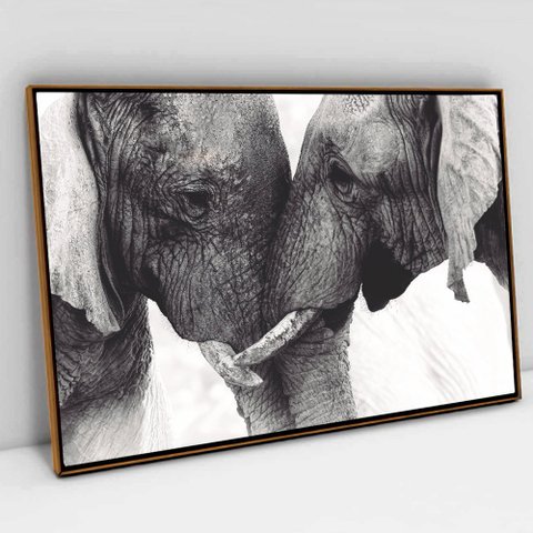 Quadro Decorativo em Canvas Elefantes se Encarando TaColado Moldura Flutuante 4,5cm Freijó 120 x 80c