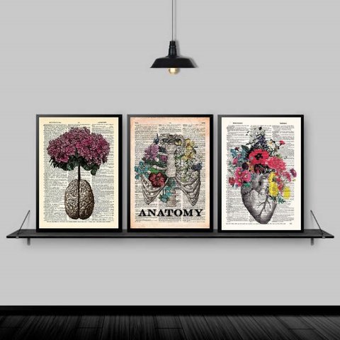 Kit 3 Quadros Medicina Anatomia Flores 45x34cm - com vidro:Madeira preta