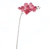 Haste de Orquídea Phalaenopsis Rosa de Silicone - 1