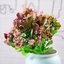 Ver imagem 3 de Kit 4 Plantas Kalanchoe Artificial Flores Jardim Buquê 30cm