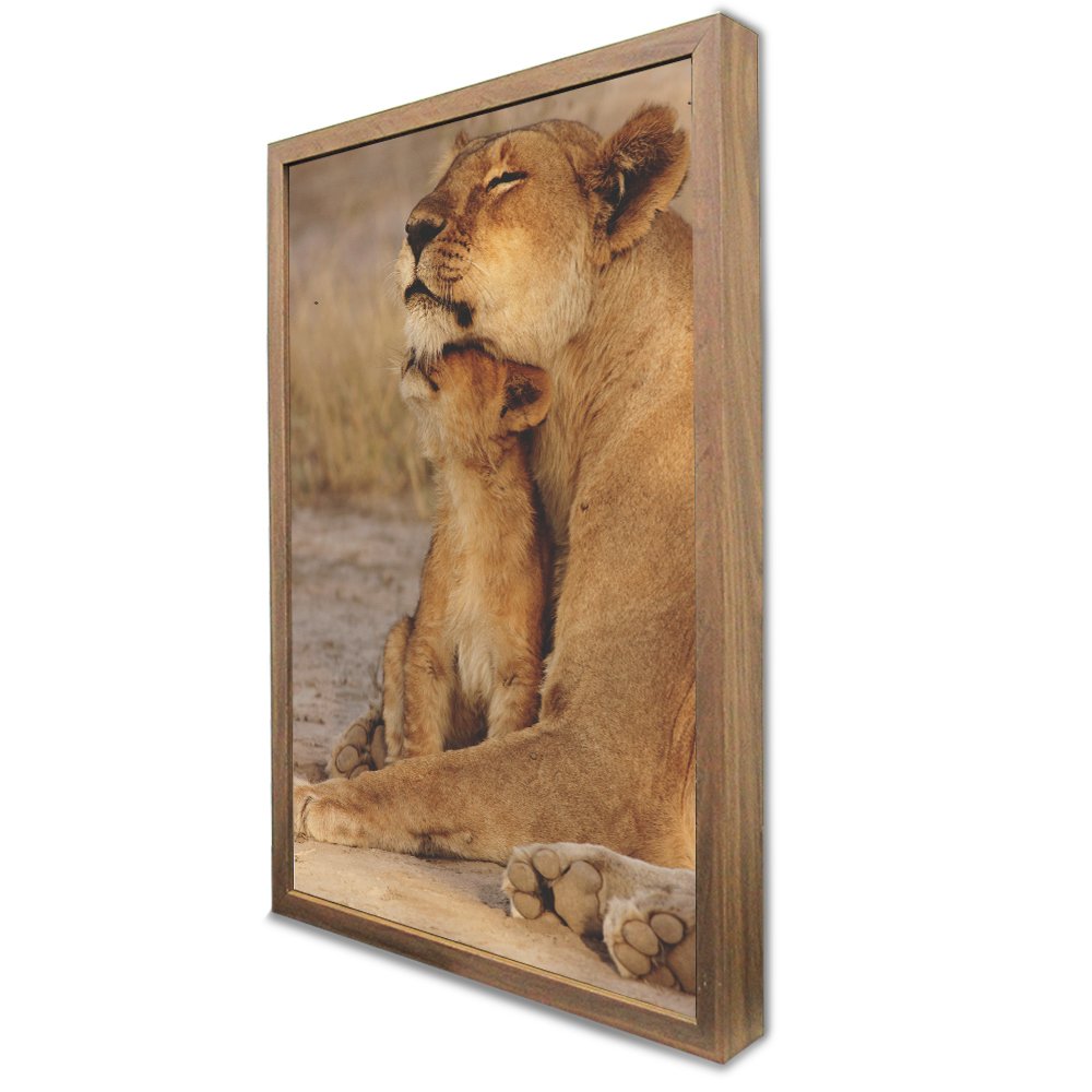 Quadro Decorativo Leoa e Seu Filhote em Moldura Caixa Tacolado Moldura Trad 1cm Madeira Escura com V - 4