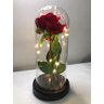 Cúpula Luminária Rosa Encantada Bela e a Fera Com Led - 27 cm - 5