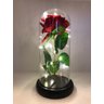 Cúpula Luminária Rosa Encantada Bela e a Fera Com Led - 27 cm - 1