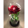 Cúpula Luminária Rosa Encantada Bela e a Fera Com Led - 27 cm - 3