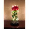 Cúpula Luminária Rosa Encantada Bela e a Fera Com Led - 27 cm - 2