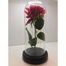 Cúpula Luminária Rosa Encantada Bela e a Fera Com Led - 27 cm - 4