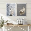 Ver imagem 2 de Kit 2 Quadros Fotos Azul e Branco- Pavão e Pena 24x18cm:madeira Branca