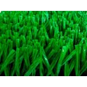 Ver imagem 1 de Grama Sintética SoftGrass 20mm - Verde