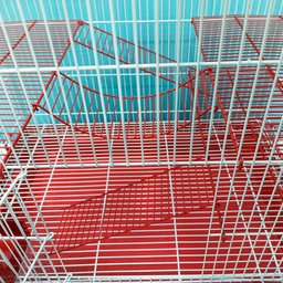 Gaiola Grande para Twister com 2 Andares e Comedouro:vermelho - 3