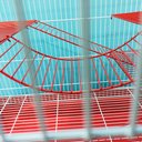 Ver mais imagens de Gaiola Grande para Twister com 2 Andares e Comedouro:vermelho