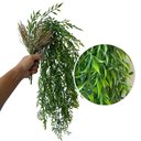 Ver imagem 4 de Kit 9 Pendentes de Capim Artificial Premium 75cm Elegância e Alto Realismo para Decoração
