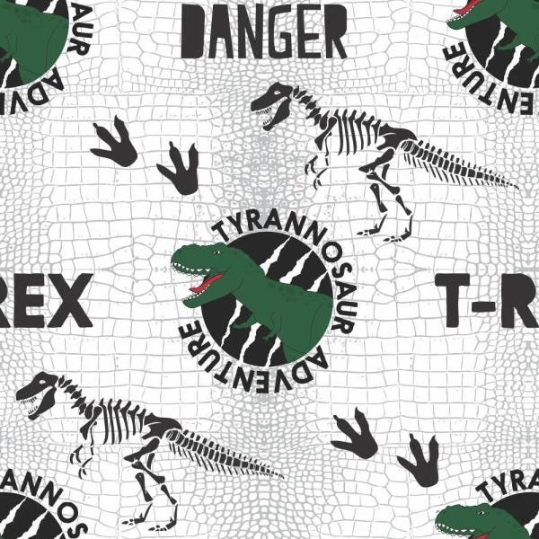 Papel de Parede Infantil Dinossauros Desenho T-Rex-60x300cm