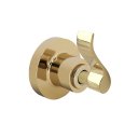 Ver imagem 1 de Acabamento para Registro Chuveiro Banheiro Alavanca Dourado Brilhante Padrão Deca 1/2" - 3/4" ou 1"