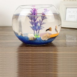 Vaso Aquario de Vidro Vaso Redondo 2 L - 5