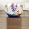 Vaso Aquario de Vidro Vaso Redondo 2 L - 5