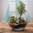 Ver imagem 3 de Vaso Aquario de Vidro Vaso Redondo 2 L