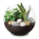 Ver imagem 2 de Vaso Aquario de Vidro Vaso Redondo 2 L