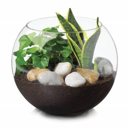 Vaso Aquario de Vidro Vaso Redondo 2 L - 2