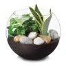 Vaso Aquario de Vidro Vaso Redondo 2 L - 2