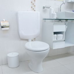 Caixa de Descarga Baixa Duplo Acionamento Astra - 3 Caixa de Descarga Baixa Duplo Acionamento Astra - 3