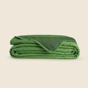 Ver imagem 1 de Colcha Microfibra Ultra Verde - A\casa