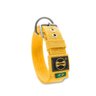 Coleira Cachorro Fit Medio Grande Porte Segura Reforçada Amarelo GG - 4