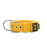 Coleira Cachorro Fit Medio Grande Porte Segura Reforçada Amarelo GG - 1