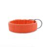 Coleira Cachorro Fit Tradicional Medio Grande Porte Moderna Laranja GG - 4