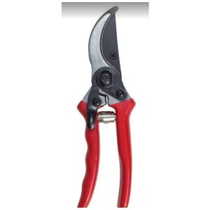 Tesoura Profissional para Poda Tipo Suiça 8polegadas Corneta