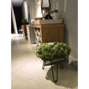 Ver imagem 3 de Puff Estofado Verde Redondo Orgânico 0,50x0,50 Mt Base Metal Tree