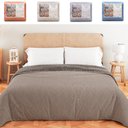 Ver imagem 1 de Coberdrom Queen Aveludado com Manta Soft Dupla Face 270x250 - Bf Colchões