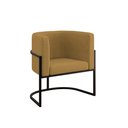 Ver imagem 1 de Poltrona Cadeira Decorativa Lua Recepção Base de Ferro Black Cor:capuccino