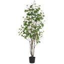 Ver imagem 1 de Planta Árvore Artificia Folha Pu C/pote X150 Verde 1,20cm