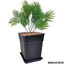 Ver imagem 5 de Kit 10 Pratos para Vaso Quadrado 20,5cm X 2,5cm Ercaplast