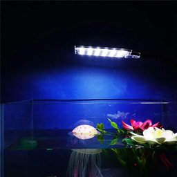 Luminária Aquário 24 Led 10w Luz Azul Suporte Preto Haste. - 2
