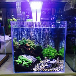 Luminária Aquário 24 Led 10w Luz Azul Suporte Preto Haste. - 4