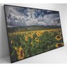 Quadro Campo de Girassóis Medidas 120x80 Cm Impressão Vidro Acrílico - 4