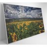 Quadro Campo de Girassóis Medidas 120x80 Cm Impressão Vidro Acrílico - 5