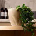 Ver imagem 2 de Kit 2 Vasos Cachepots para Plantas Flores Médio 17,5cm Bege Plástico Névoa Lyor Casa Jardim