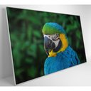 Ver mais imagens de Quadro Arara 60x40 Cm Vidro Impresso