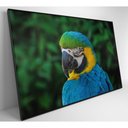 Ver imagem 5 de Quadro Arara 60x40 Cm Vidro Impresso