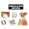 Conjunto De Pratos Raso Pomerode 12 Peças Porcelana Schmidt - 8