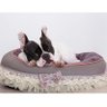 Cama Fofinha Euro Woof Classic London Lovers Noah - 2