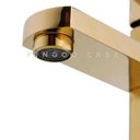 Ver imagem 4 de Torneira para banheiro Monocomando Misturador Alta dourada Madeira Pingoo.casa